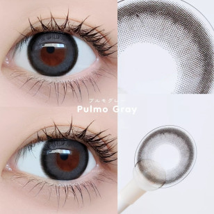 Secret CandyMagic 1day Pulmo Gray シークレットキャンディーマジックワンデー プルモグレー